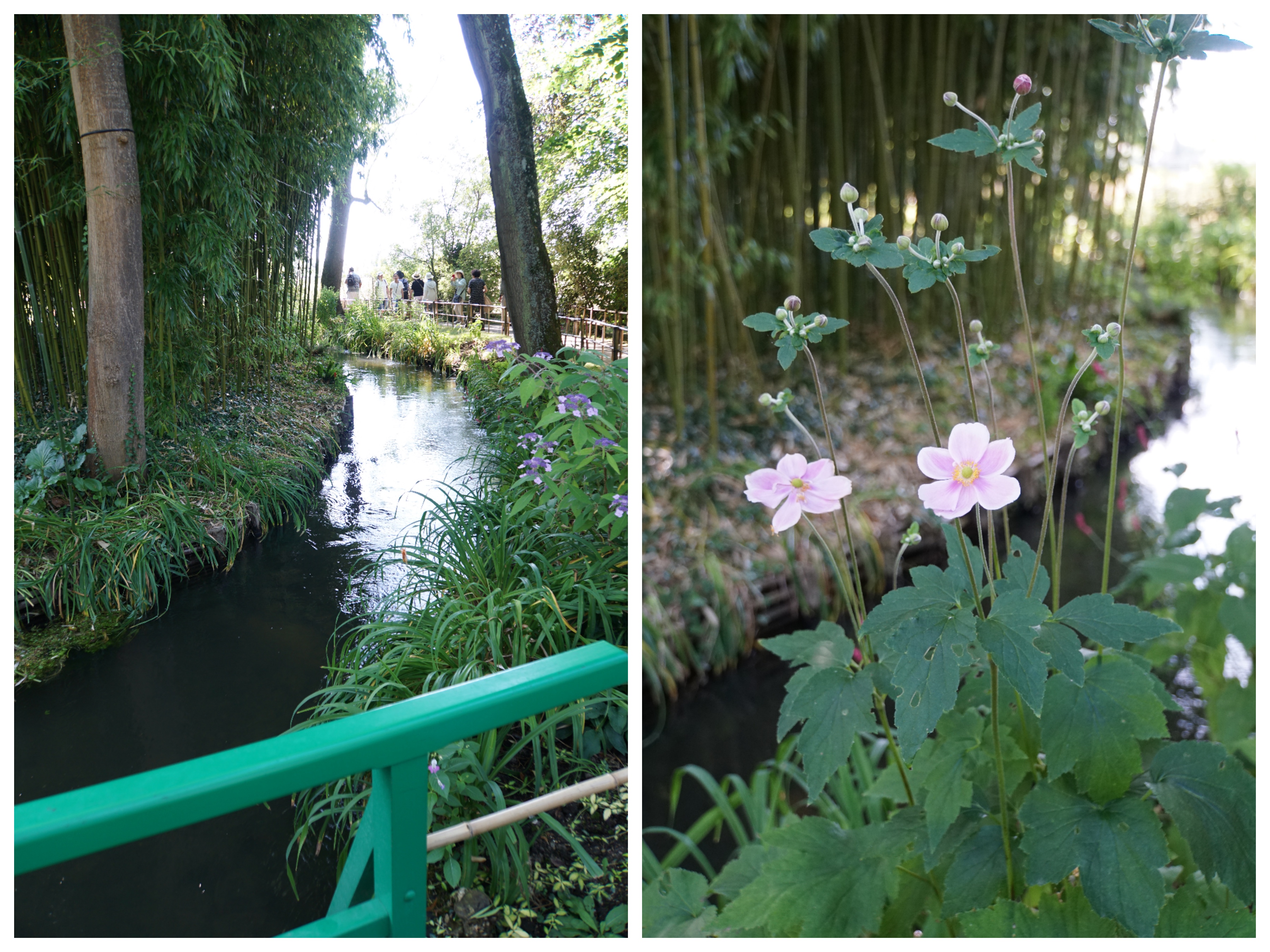 Collage_Fotor Giverny 4